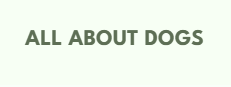 Free Signup – Get Exclusive Offers & Deals