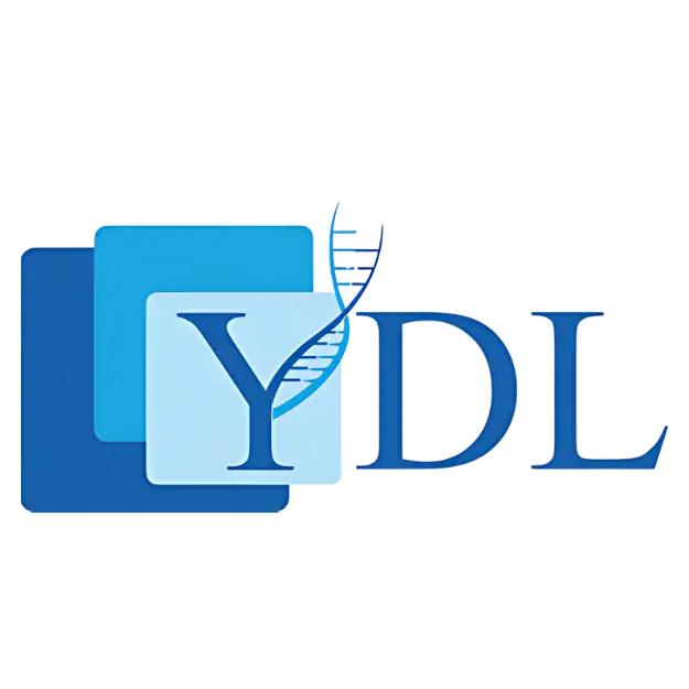 01 Sponsors